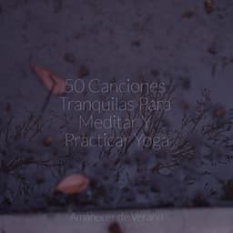 50 Canciones Tranquilas Para Meditar Y Practicar Yoga - Instrumental