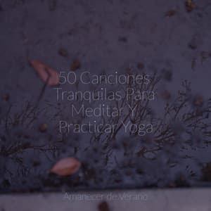 50 Canciones Tranquilas Para Meditar Y Practicar Yoga - Instrumental