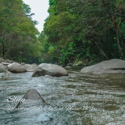 Sleep: Relaxation River Ambient Music Vol. 1 - The Deep Sleep Music Academy