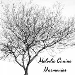 Piano Paws: Melodic Canine Harmonies - Ocean Pianos