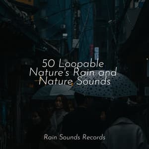 50 Loopable Nature's Rain and Nature Sounds - Pro Sound Effects Library