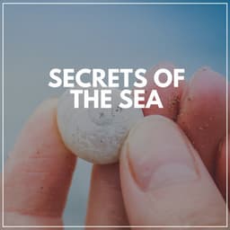 Secrets of the Sea - Tailormade Ocean Waves