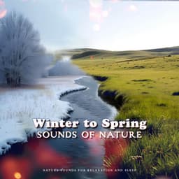Winter to Spring Sounds of Nature - Nature Sounds for Relaxation and Sleep