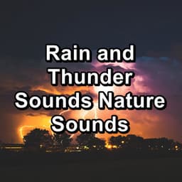 Rain and Thunder Sounds Nature Sounds - Thunder and Rain Storm