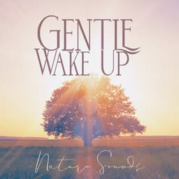 Gentle Wake Up - Beautiful Magical Music Collection