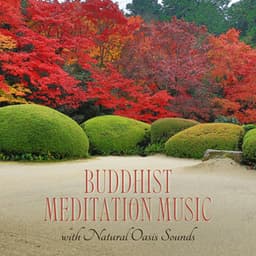 Buddhist Meditation Music with Natural Oasis Sounds - Daily Meditation Music Society