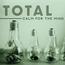 Total Calm for the Mind – Soothe Your Thoughts, Heal Stress Problems : New Age Calming Tones - Relaxation New Age Melodies