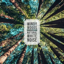 Natural White Noise - Windy Woods Ambience - Natural Sound Makers