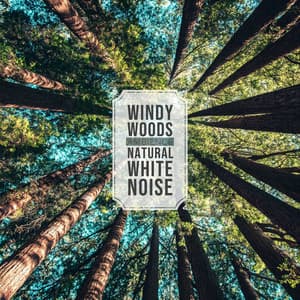 Natural White Noise - Windy Woods Ambience - Natural Sound Makers