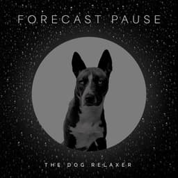 Forecast Pause - The Dog Relaxer