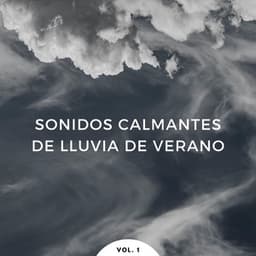 Sonidos Calmantes De Lluvia De Verano Vol. 1 - Ejemplo de biblioteca de lluvia