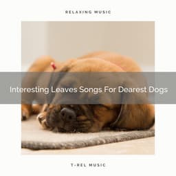 Interesting Leaves Songs For Dearest Dogs - Pets Total Relax