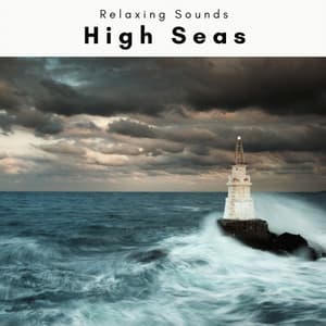 2022 High Seas - Ocean Currents