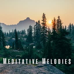 Meditative Melodies: Nature and Chill Sounds for Deep Reflection - Ambient Nature project