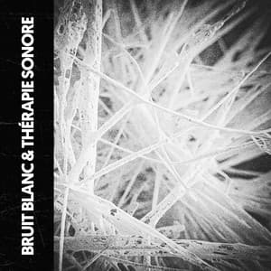 Bruit Blanc & Sonothérapie : Bruit Serein - Ruido Blanco Hart