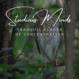 Harmonic Intellect: Meditative Piano for Studious Minds - Piano Project