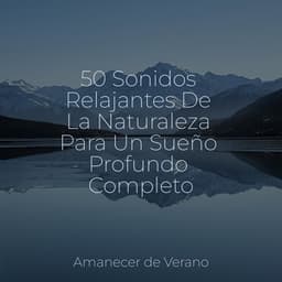 50 Sonidos Relajantes De La Naturaleza Para Un Sueño Profundo Completo - Musica para Bebes