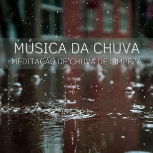Música Da Chuva: Meditação De Chuva De Limpeza - 1 Hora de Meditação