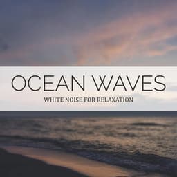 Ocean Waves - Path to the Wild