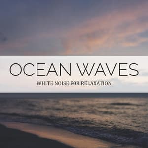 Ocean Waves - Path to the Wild