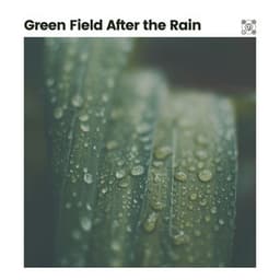 Green Field After the Rain - Rain Radiance