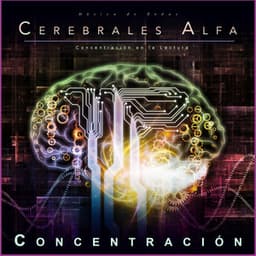 Música de Ondas Cerebrales Alfa: Concentración en la Lectura - Música de Ondas Cerebrales Alfa