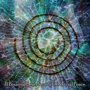 11 Binaural Beats Sounds Of Natural Peace - Binaural Beats Recordings