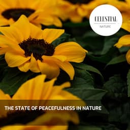 The State of Peacefulness in Nature - Nature Radiance