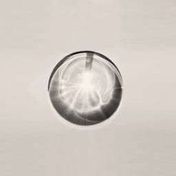 Humet: Niwa - Ramon Humet