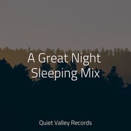 A Great Night Sleeping Mix - Saludo al Sol Sonido Relajante