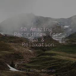 50 Amazing Recordings for Spa & Relaxation - Calming Sounds