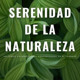 Serenidad De La Naturaleza: Un Fondo Calmante Para Concentrarse En El Trabajo - Grabaciones de la madre naturaleza