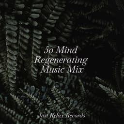50 Mind Regenerating Music Mix - Yoga Sounds