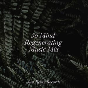 50 Mind Regenerating Music Mix - Yoga Sounds