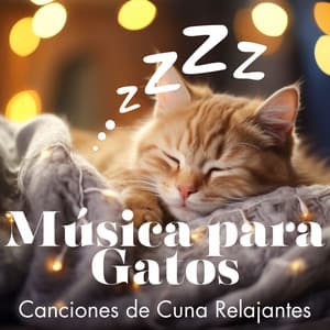 Música para Gatos - Canciones de Cuna Relajantes - Relax My Cat