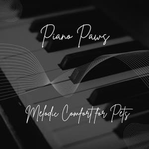 Piano Paws: Melodic Comfort for Pets - Cocktail Piano Bar Jazz