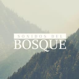 Sonidos del Bosque: Música de la Naturaleza de Alta Cualidad son Sonidos de Agua y Pájaros - Serenidad y Armonía