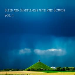 Sleep and Mindfulness with Rain Sounds Vol. 1 - Sleep Music Dreams
