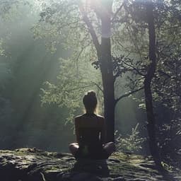 Mindful Meditation Melodies: Music for Focus - Meditation Playlist