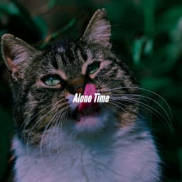 Alone Time - Work from Home Groove