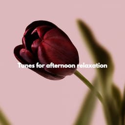 Tunes for afternoon relaxation - Evening Jazz Relaxation