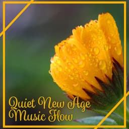 Quiet New Age Music Flow: Sounds for Meditation and Relaxation, Music Therapy for Calm Mind and Body, Ambient Massage Music, Natural Noise - Zen Natural Sounds