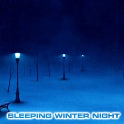 Sleeping Winter Night - National Geographic Nature Sounds