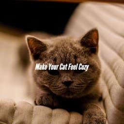 Make Your Cat Feel Cozy - New York Jazz Trio