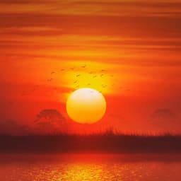 Quiet Moments: Tranquil Evening Tunes - Calm Music