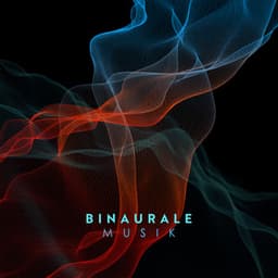 Neuraler Fluss - David Kernes