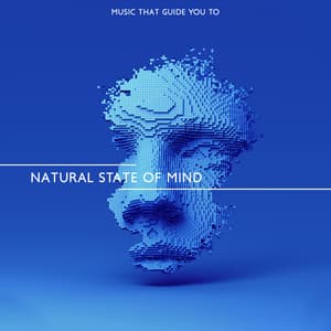Music That Guide You to Natural State of Mind. Meditation Vibes - Meditation Music Composer