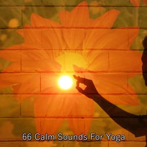 66 Calm Sounds For Yoga - Relaxing Music Moods