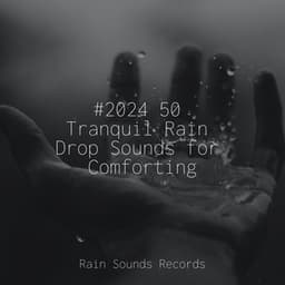 #2024 50 Tranquil Rain Drop Sounds for Comforting - Musica Para Dormir y Sonidos de la Naturaleza
