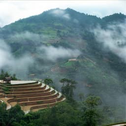 1 Atmosphere: Veil of Time - Nature Sound Collection